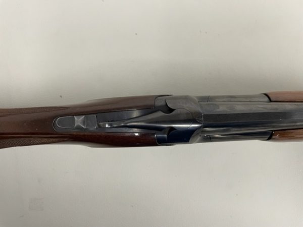 IMG_0819