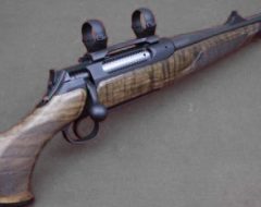 RIFLES
